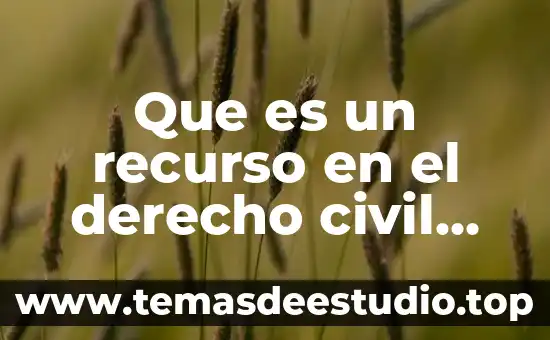 Concepto de que es un recurso 8 Que es un recurso en el derecho civil moderno
