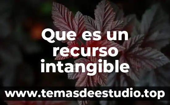 Que es un elemento intangible 7 Que es un recurso intangible