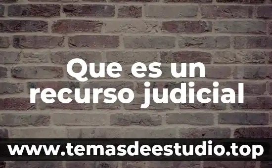 Concepto de que es un recurso 3 Que es un recurso judicial