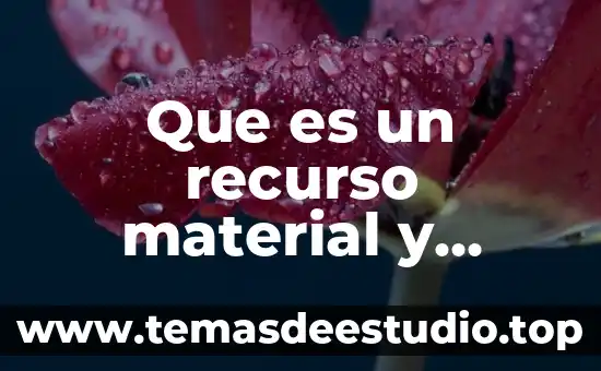 Que es un recurso material y medio didactico