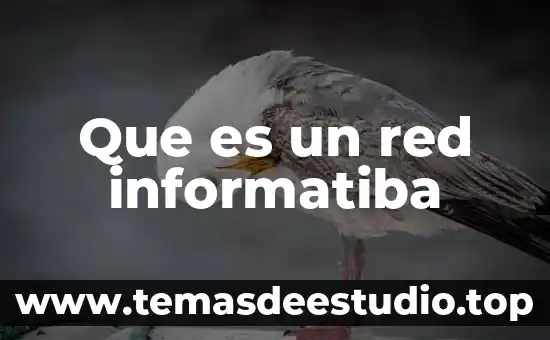 Que es un red informatiba
