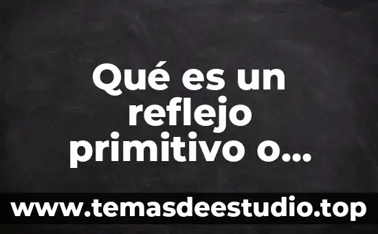 Qué es un reflejo primitivo o primario