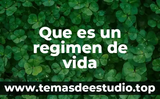 Que es el arte medieval resumen 8 Que es un regimen de vida