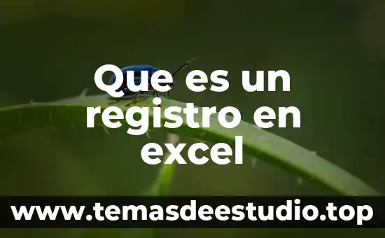 Que es un registro en excel