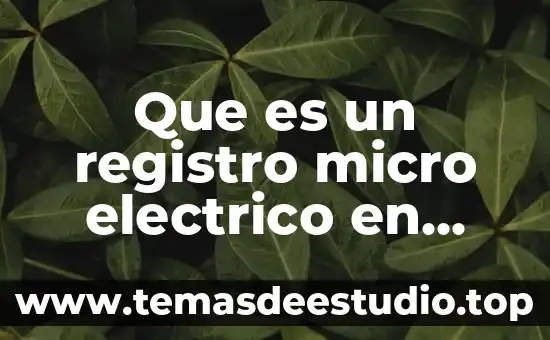 Que es micro o macro historia 3 Que es un registro micro electrico en registros geofisicos