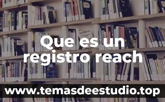 Que es un registro de alimentantes morosos 3 Que es un registro reach