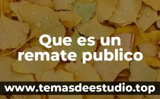Qué es un software de dominio público 4 Que es un remate publico