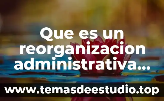 Que es un reorganizacion administrativa en europa