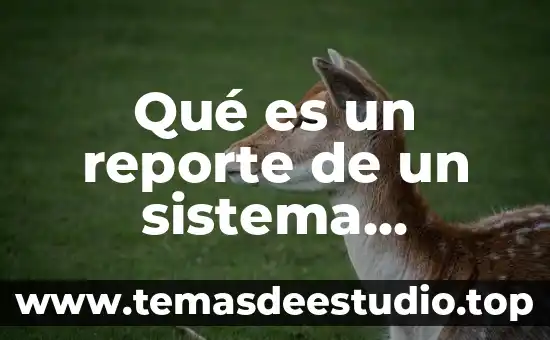 Que es un caballo de troya virus informatico 3 Qué es un reporte de un sistema informático