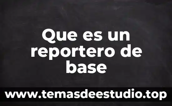 Base metil que es 5 Que es un reportero de base