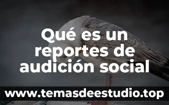 Qué es un reportes de audición social