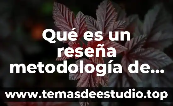 Qué es un reseña metodología de la investigación