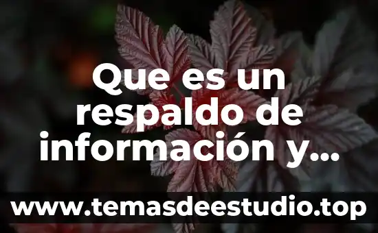 Qué es método de respaldo bases de datos slideshare 3 Que es un respaldo de información y sus herramientas