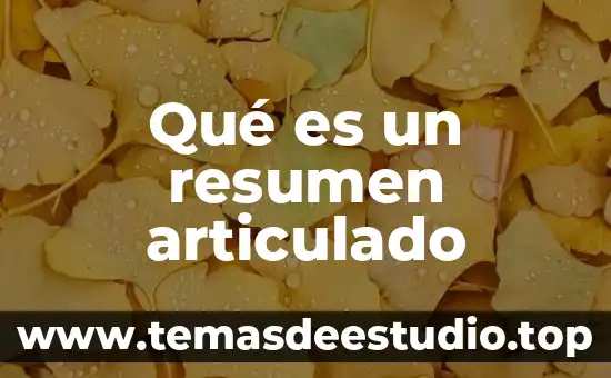 Que es fetiche resumen 5 Qué es un resumen articulado
