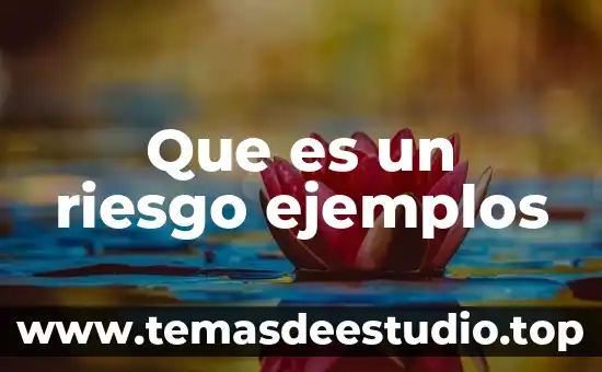 Que es riesgo pais mexico 7 Que es un riesgo ejemplos