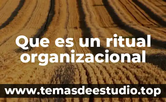 Que es un ritual organizacional