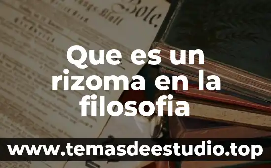 Que es un rizoma en la filosofia