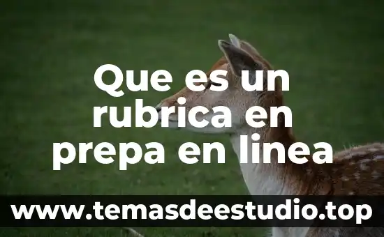 Que es el periodo de recuperacion prepa en linea sep 6 Que es un rubrica en prepa en linea