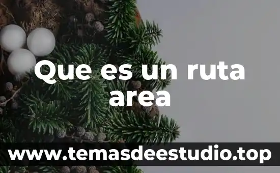 Por que es bueno saber el area de una figura 5 Que es un ruta area