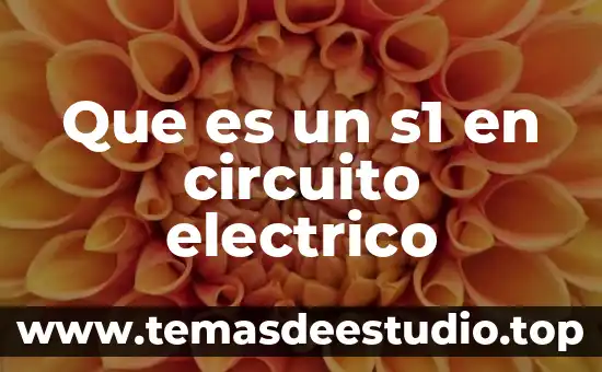Que es un s1 en circuito electrico