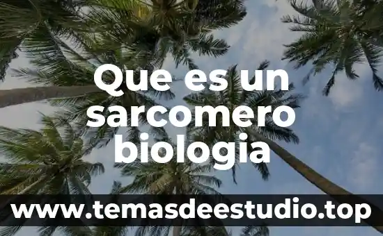 Que es tropismo en biologia 3 Que es un sarcomero biologia