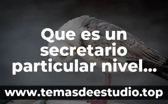Que es un secretario particular nivel de estudios