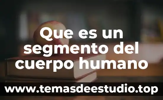 Que es un segmento del cuerpo humano