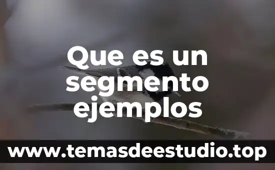 Conocimiento irracional que es y ejemplos 8 Que es un segmento ejemplos