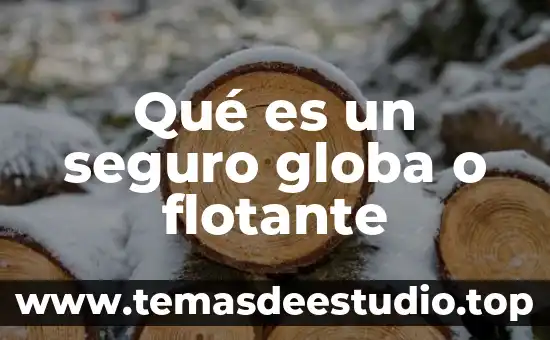Qué es un seguro globa o flotante