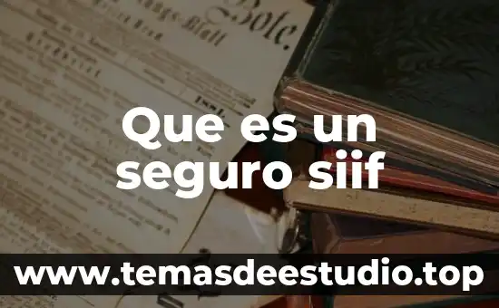 Que es un seguro siif
