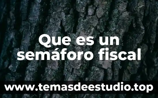 Qué es el número de identificación fiscal Facebook 8 Que es un semáforo fiscal