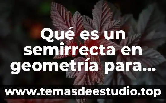 Que es geometria del diseño 6 Qué es un semirrecta en geometría para niños