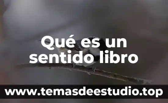 Qué es un sentido libro