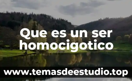 Que es ser solitaria 5 Que es un ser homocigotico