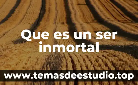 Que es ser empleado del sector privado 4 Que es un ser inmortal