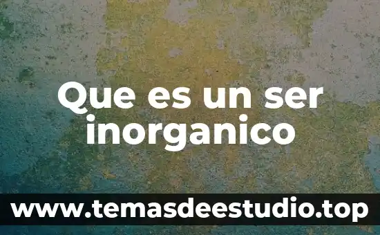 Qué es un desecho orgánico e inorgánico 5 Que es un ser inorganico