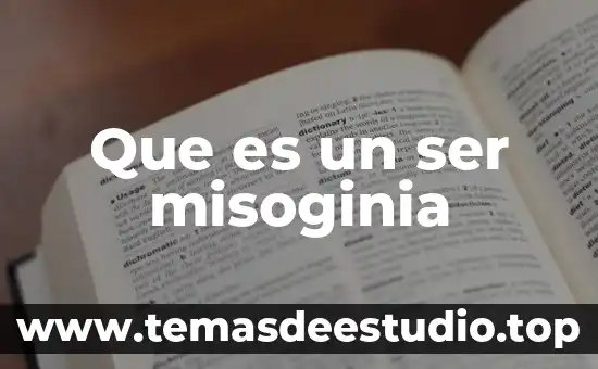 Que es un ser misoginia