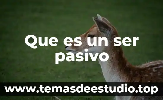 Que es un ser pasivo