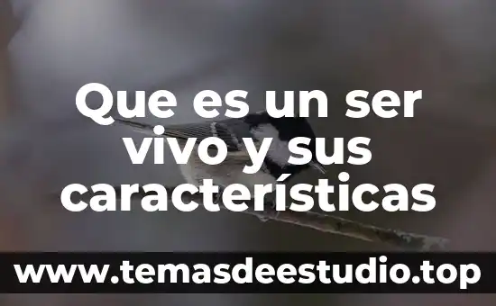 Que es ser una persona personalista 8 Que es un ser vivo y sus características