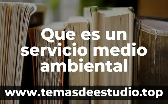 Que es estilo de crianza ambiental 7 Que es un servicio medio ambiental