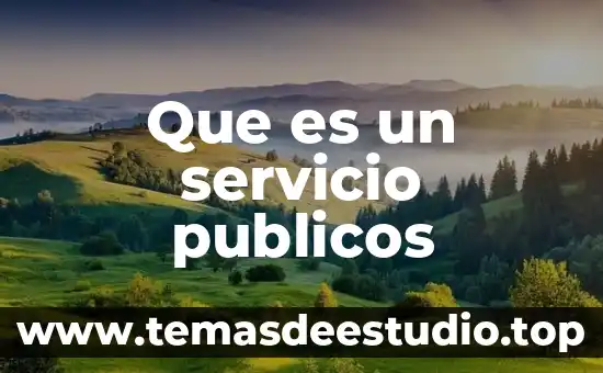 Que es la proteccion de los bienes publicos 5 Que es un servicio publicos