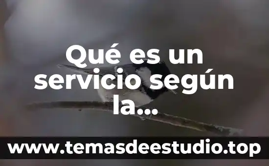 Que es una identidad en administracion 5 Qué es un servicio según la administración de proyectos