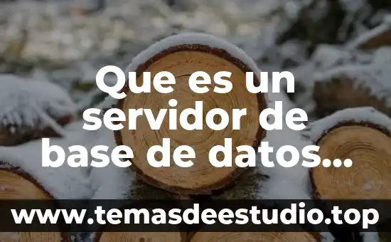 Qué es arquitectura cliente servidor ejemplos 6 Que es un servidor de base de datos sql