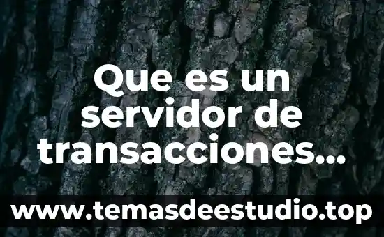 Qué es arquitectura cliente servidor ejemplos 5 Que es un servidor de transacciones base de datos