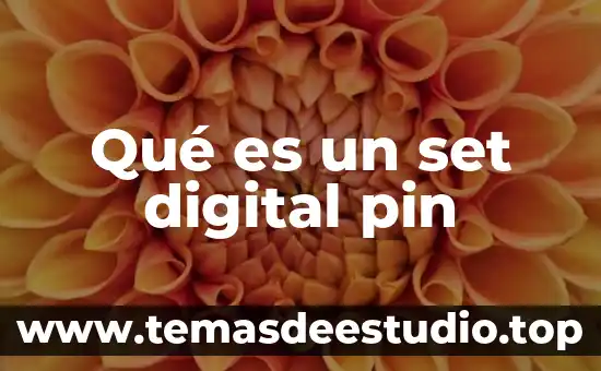 Que es conversor de señal digital a analógica 5 Qué es un set digital pin