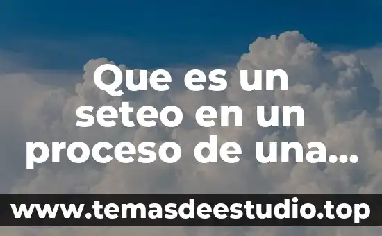 Que es un seteo en un proceso de una computadora
