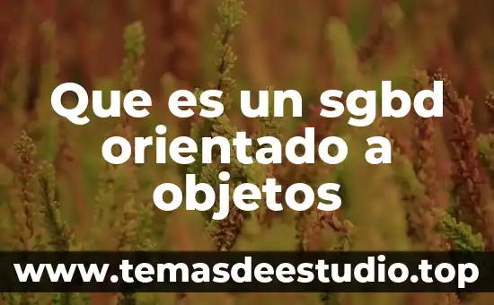 Que es un paradigma orientado a la logica 5 Que es un sgbd orientado a objetos