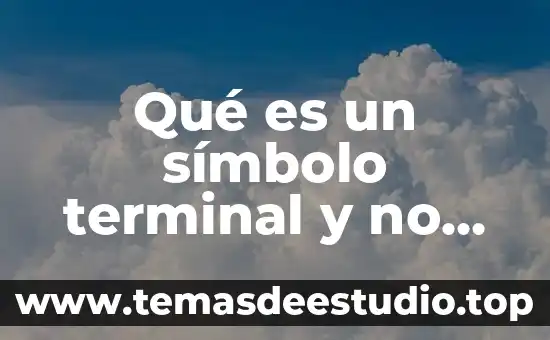 Que es la terminal d+ en un alternador 5 Qué es un símbolo terminal y no terminal
