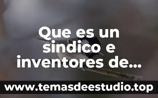 Crees que es un monumento la catedral de México 4 Que es un sindico e inventores de concursos mexico