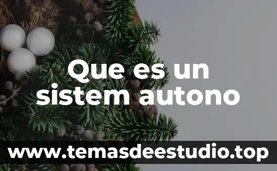 Que es check sistem tray 5 Que es un sistem autono